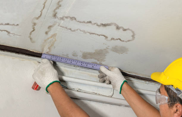 Reliable Flood Cleanup contractor in Jefferson, OR by Water Damage Irwin